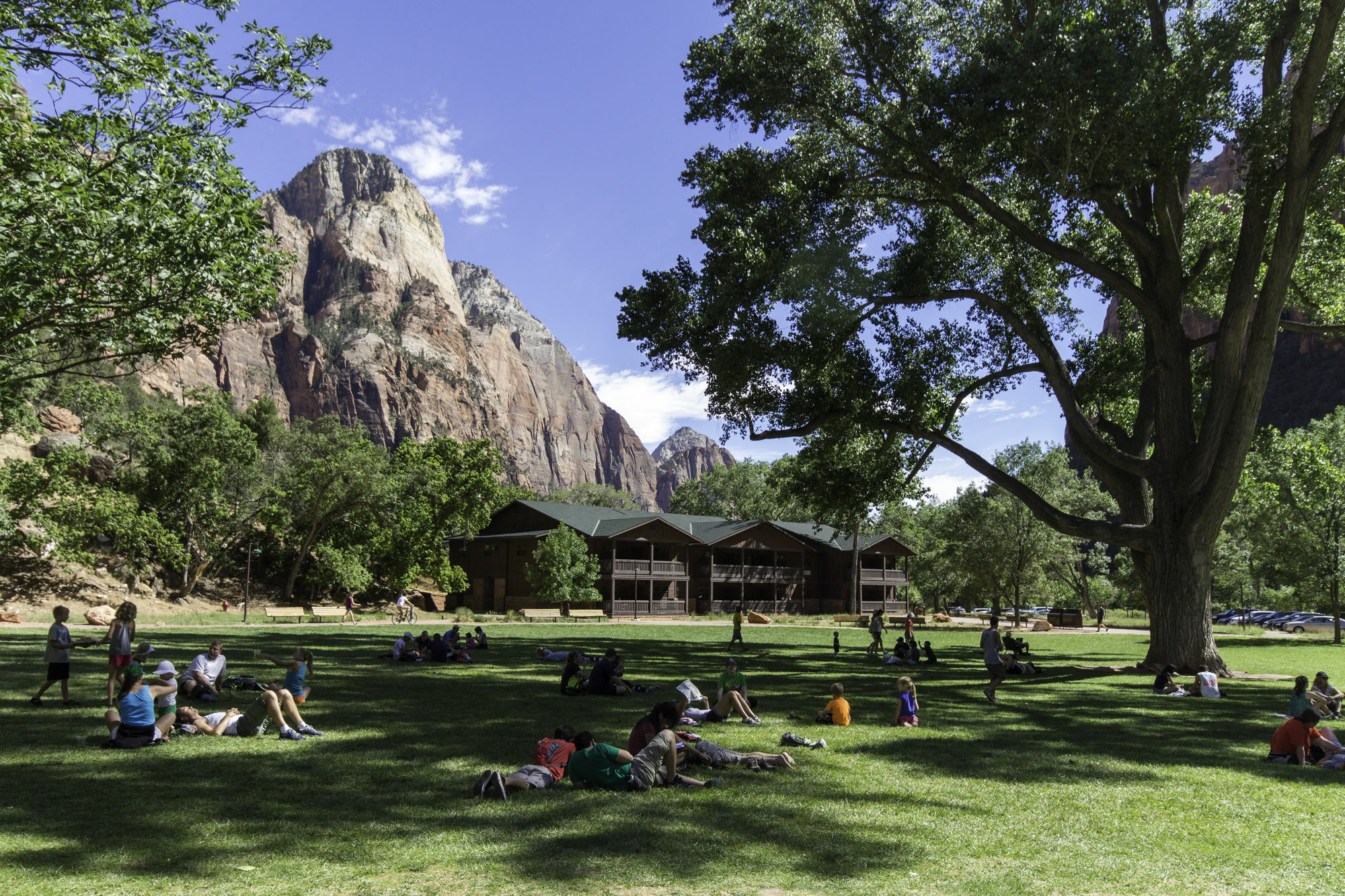 ספרינגדייל Zion Lodge מראה חיצוני תמונה