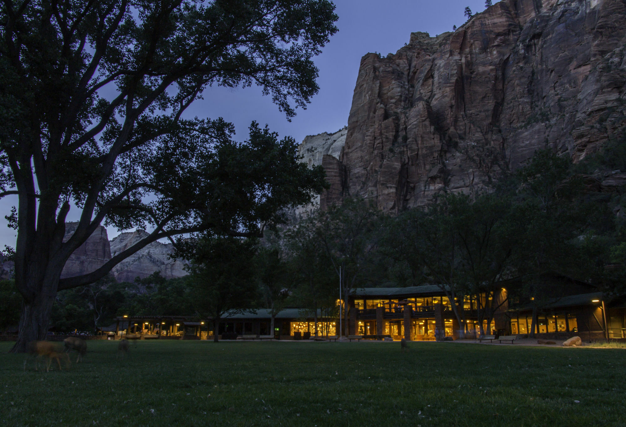 ספרינגדייל Zion Lodge מראה חיצוני תמונה